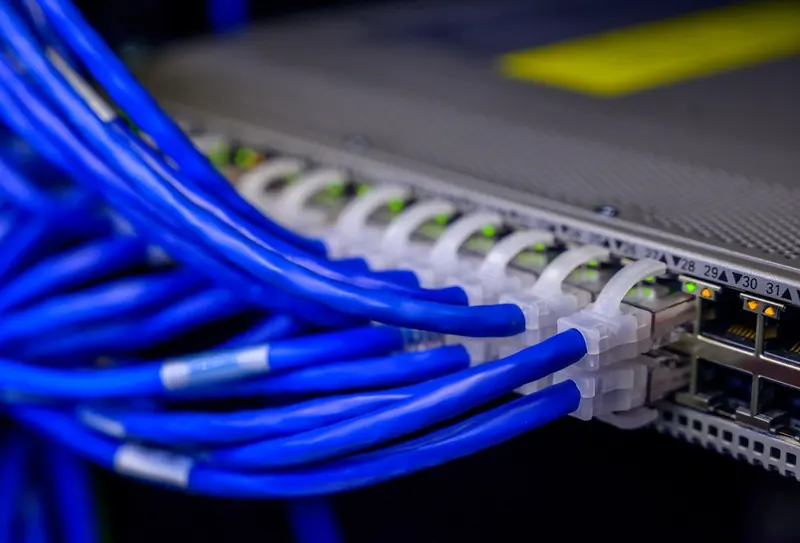 Network switch with rows of connected Ethernet patch cables